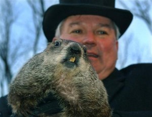 groundhogday