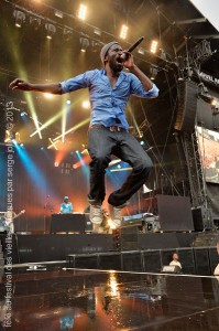 fefe au festival des vieilles charrues 2013 vu par serge jolivel