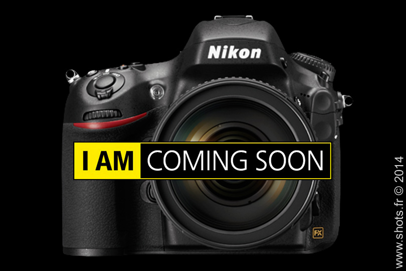 lancement imminent de Nikon D810 sur Shots